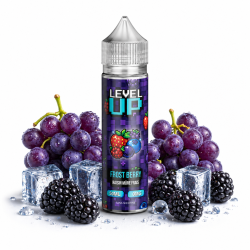 LEVEL UP - FROST BERRY RAISIN MÛRE FRAIS - 50ML