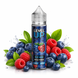 LEVEL UP - BLUE WAVE MYRTILLE FRAMBOISE - 50ML