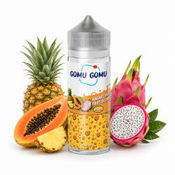 GOMU GOMU - ANANAS PAPAYE FRUIT DU DRAGON - 100ML
